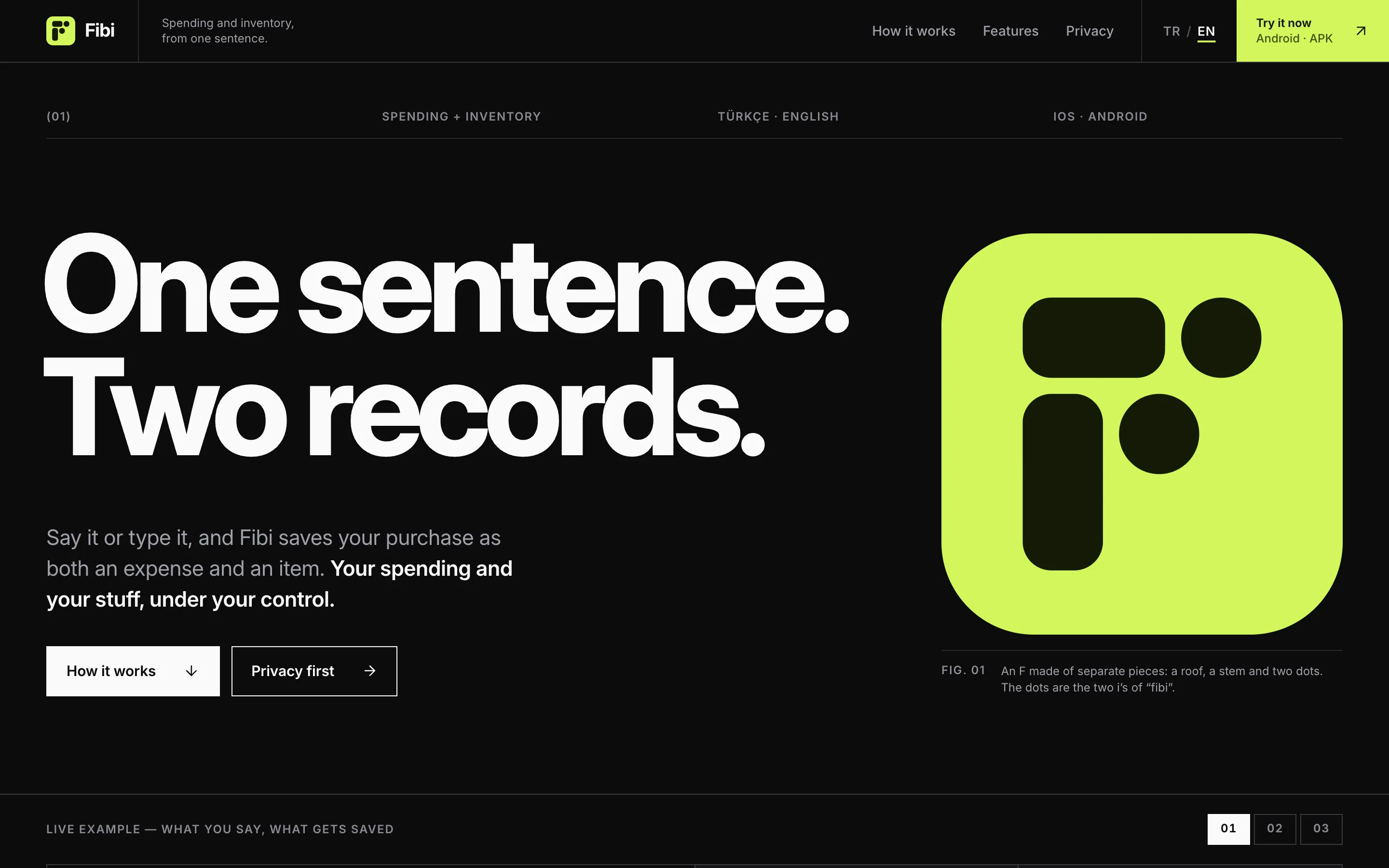 The first screen of the Fibi website: “One sentence. Two records.” and the lime F logo.