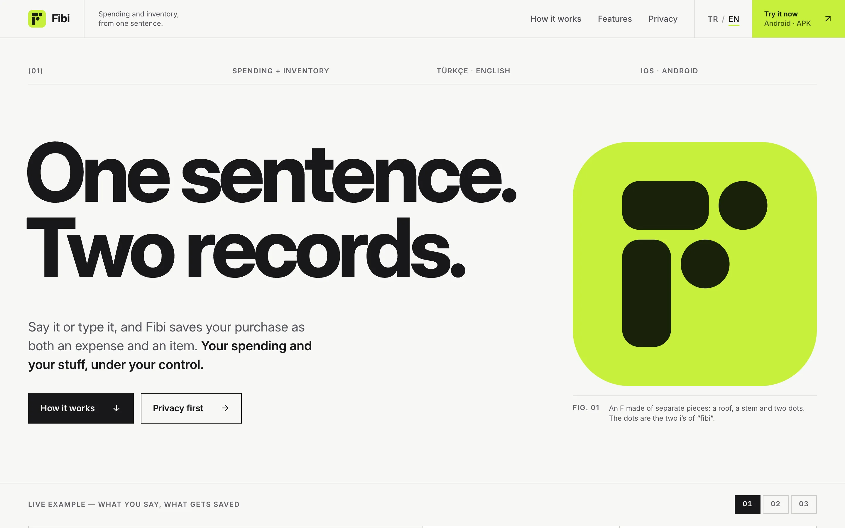 The first screen of the Fibi website: “One sentence. Two records.” and the lime F logo.